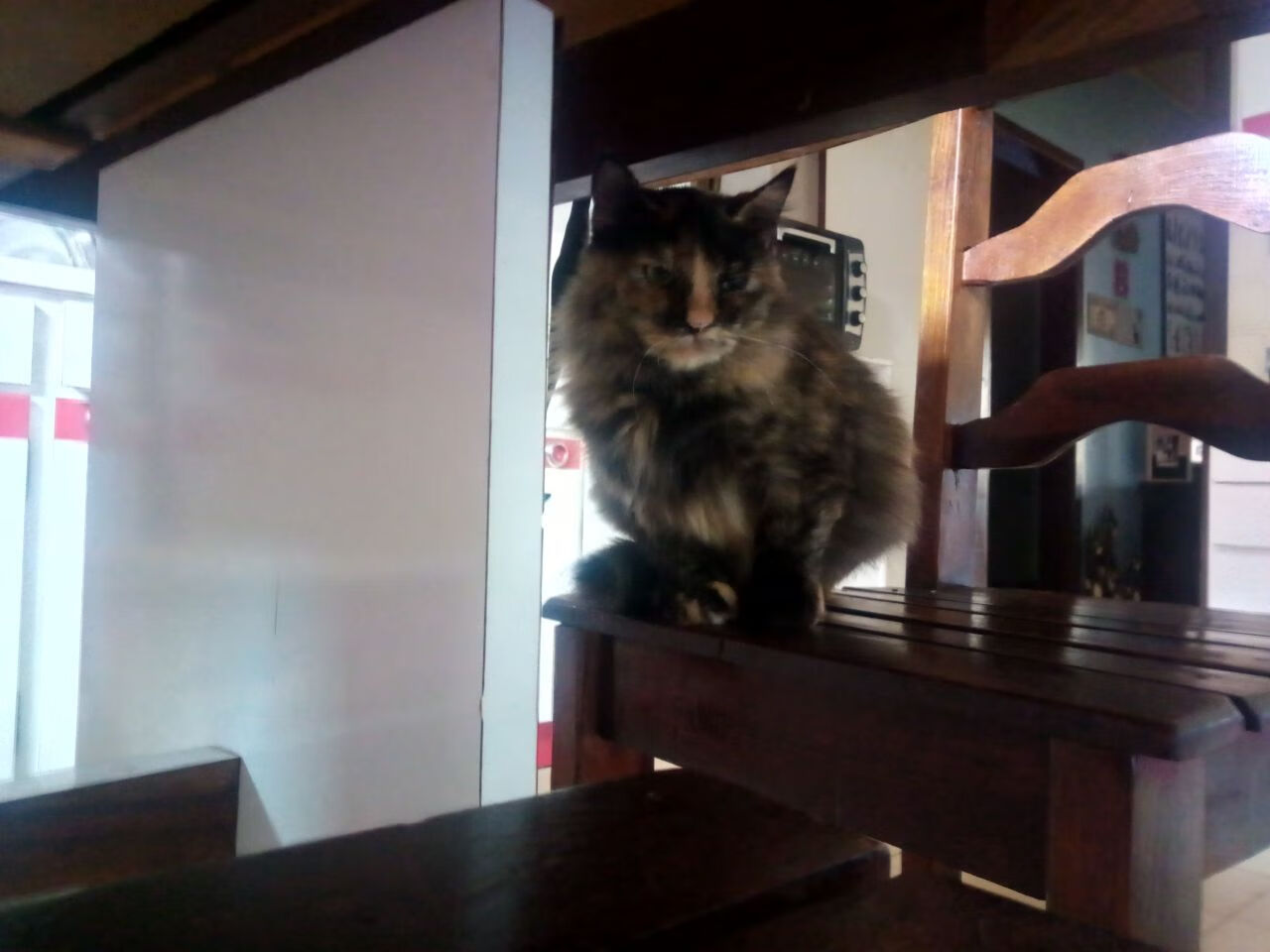 欧冠决赛之夜，马丁内利—一个少年与一座城市的重量