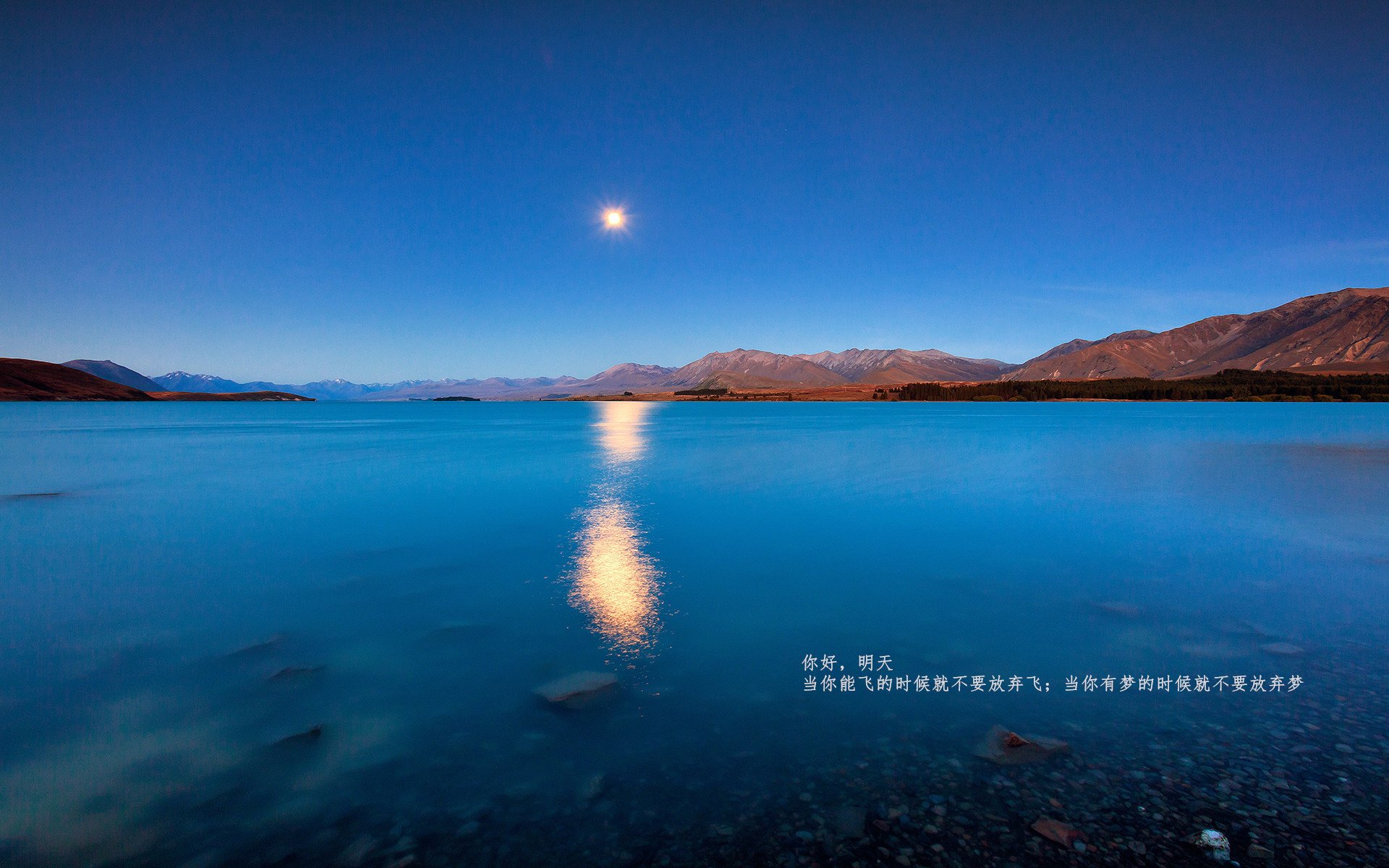 北欧魔咒的破壁人，厄德高在瑞典掀起黄黑风暴