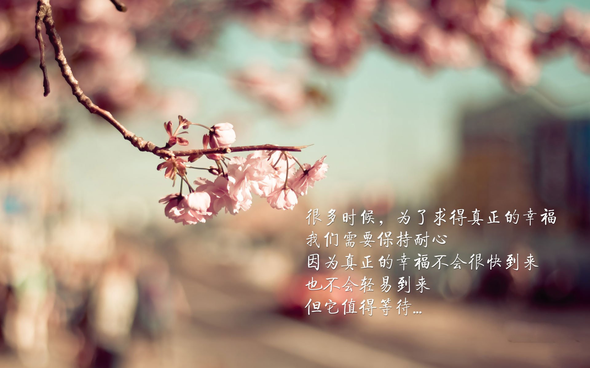 唯一的欧文,冰冷杀手在热火与猛龙之战中定义比赛