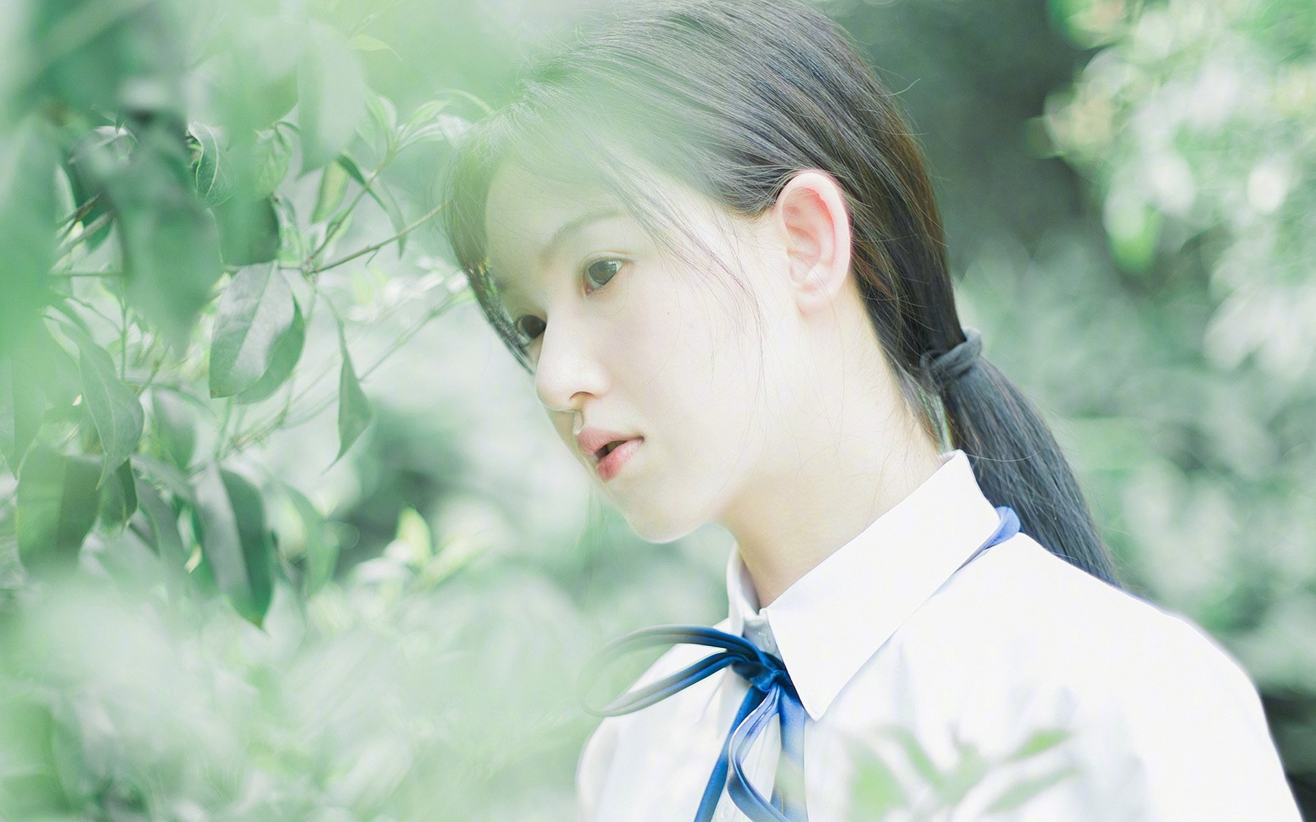 唯一和唯一的对决